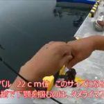 堤防からのロックフィッシュ 　日本最東端の港へ　 20180821