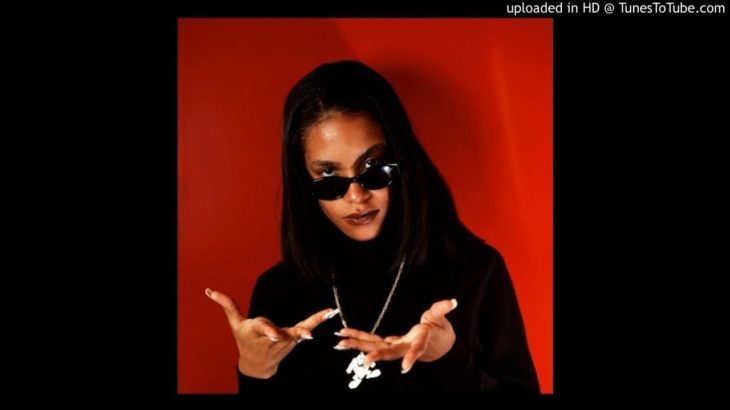 Aaliyah x R kelly x The Notorious BIG x R&B Type Beat – Freaky (Prod Don Theking)