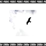 FKA Twigs Type Beat “Floating” Pooks [Prod.] Alternative R&B
