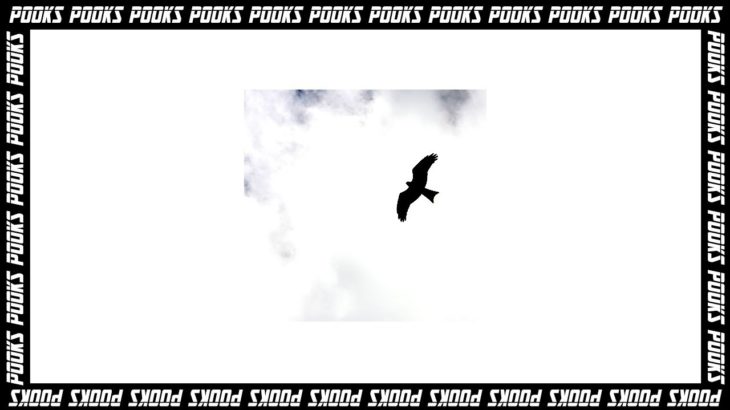 FKA Twigs Type Beat “Floating” Pooks [Prod.] Alternative R&B