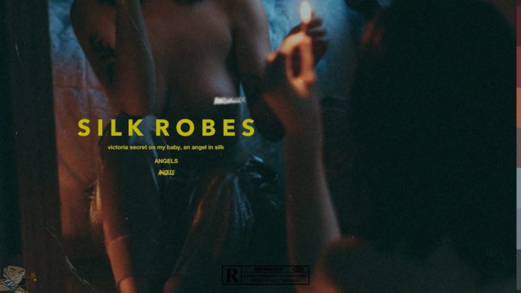 [FREE] PARTYNEXTDOOR Type Beat – SILK ROBES | R&B Instrumental | Trappie Chan