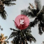 (FREE) Palms | Pop R&B Electronic Ambient Summer Instrumental | prod. ES.CE