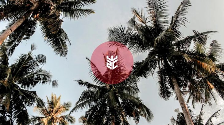 (FREE) Palms | Pop R&B Electronic Ambient Summer Instrumental | prod. ES.CE