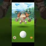 【ポケモンGO】レジロックと連戦だ。【横須賀中央】
