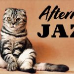 Relaxing Afternoon JAZZ – Background Instrumental Cafe Jazz Music – Music for Studying, Work, Relax
