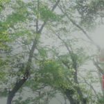 松田聖子 – 「永遠の愛で 変わらない愛で」ミュージックビデオ(Short Ver.)