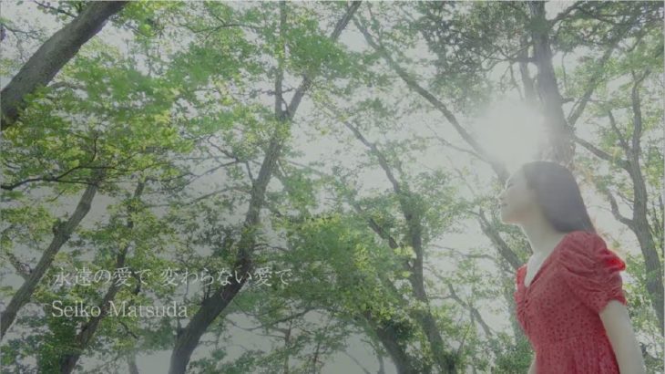 松田聖子 – 「永遠の愛で 変わらない愛で」ミュージックビデオ(Short Ver.)