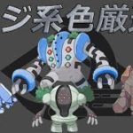 《ポケモンUSUM》初見さん大歓迎!!色厳選レジロック編、500回突破!!チョコレートは〇〇〇♪