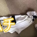 クマバチが服にいた。注意しよう。【縄文サバイバル　ロック・ハンドス・ピナ－さん】