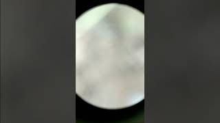 CARA PAKAI LENSBONG R&B