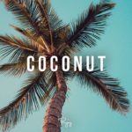 “Coconut” – Smooth Chill Rap Beat | Free R&B Hip Hop Instrumental Music 2018 | HRNN #Instrumentals
