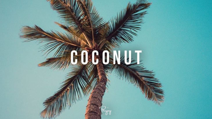 “Coconut” – Smooth Chill Rap Beat | Free R&B Hip Hop Instrumental Music 2018 | HRNN #Instrumentals