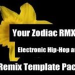 Electronic R&B Sample & Remix Pack