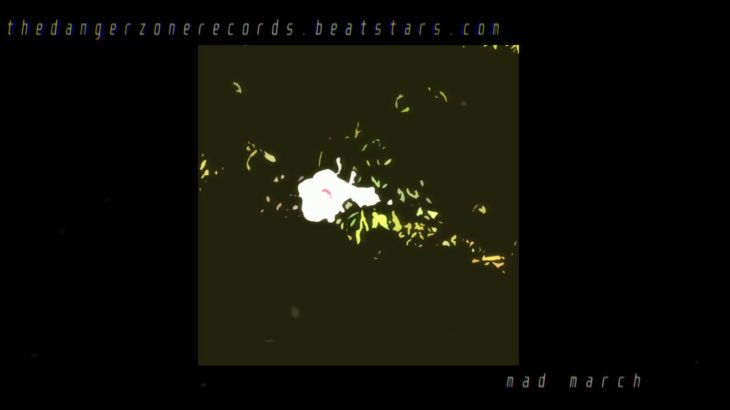 *FREE* The Weeknd “mad march” Type Beat | Hip-Hop | R&B