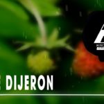 “FREE” Trap Beat Instrumental Latino | ME DIJERON | R&B Beat Ozuna, Anuel (M Produciendo Beatz) 😈