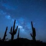 R&B & Soul   Vibe Tracks   Nice To You