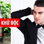 [Sự thật]| Dầu Gội Black Food r&b Khử Độc Da Đầu, Bài Trừ Độc Tố | Mỹ Phẩm Hàn Quốc