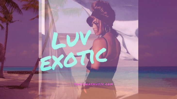 Sexy | Slow | Tropical Vibes | Janet Jackson/Kendrick Lamar type R&B Beat (Luv Exotic)