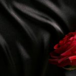 Trapsoul Type Beat ”Red Roses” Smooth R&B Rap Instrumental 2018
