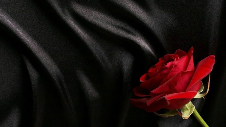 Trapsoul Type Beat ”Red Roses” Smooth R&B Rap Instrumental 2018