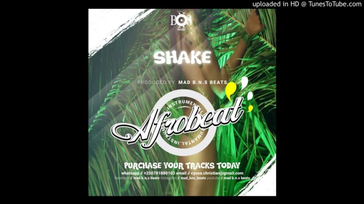 #AFRO BEAT #DANCEHALL NEW *SHAKE*  AFRO POP x R&B x DANCEHALL INSTRUMENTAL – WIZ KID X DRAKE TYPE BE
