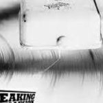 Breaking The Illusion  No Swingbeat No R&B Singer