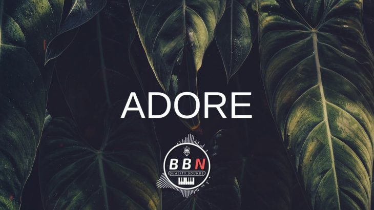 Ella Mai Type Beat | R&B Hip Hop Instrumental 2018 | ADORE (Prod. By Na’il)