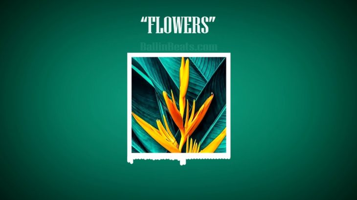 🌾 “FLOWERS” Halsey type beat | free for non profit beats Daniel Caesar R&B RnB Justin Bieber no tag