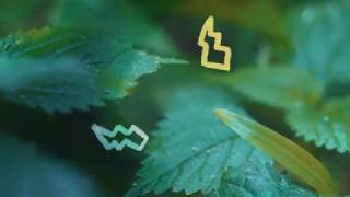 Jhene Aiko | SZA | R&B Type Instrumental 2018 – “Dreamer” [Prod. By Cho]