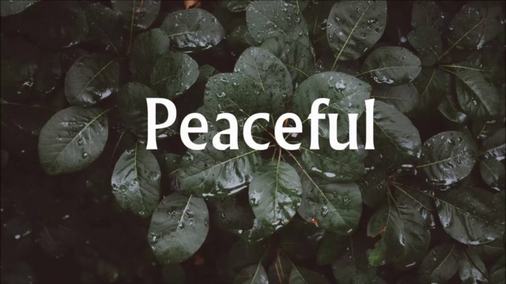 Peaceful – HipHop R&B Instrumental Beat