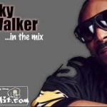 R&B Hip Hop Classics #4 | DJ Mix | Best 2000s Black Music | DJ SkyWalker