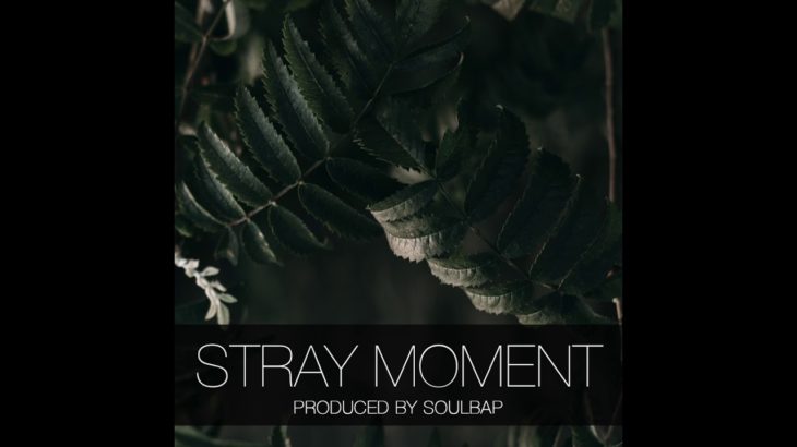 STRAY MOMENT | Bryson Tiller x 6lack Type Beat | Dark R&B / Trap | Prod. Soulbap