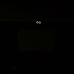 2018年東薬祭 ダンス部BROS!! R&B Hiphop number