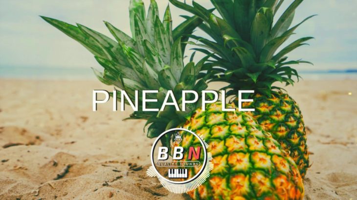 [2018] Pineapple (Prod. By Na’il) R&B Trapsoul Type Beat