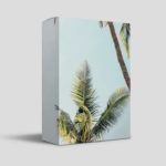 CLOUD LORD 2 | R&B x Trapsoul Sample Kit 2018 | 25 Samples Chops