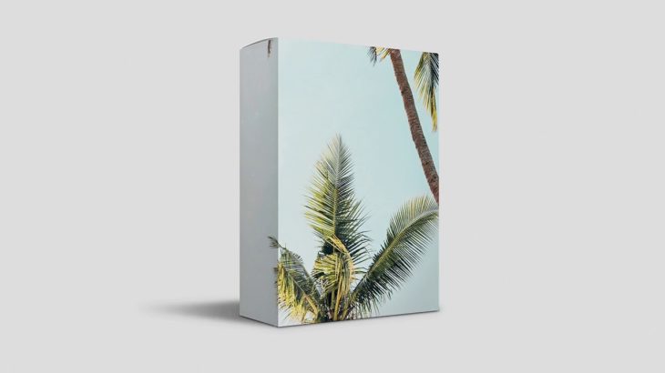 CLOUD LORD 2 | R&B x Trapsoul Sample Kit 2018 | 25 Samples Chops