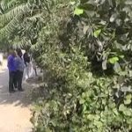 Eviction – BLS R&B department evacuated be land for widening the road