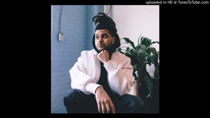 [FREE] BEAT R&B TYPE THE WEEKEND (TRISTE😖) (USO LIBRE)