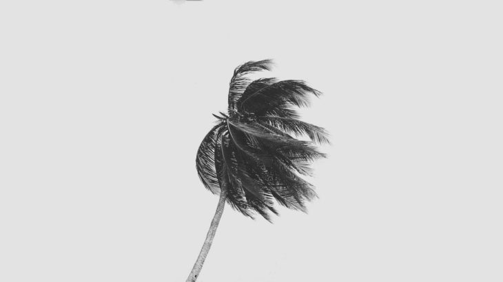 FREE Chill Smooth Guitar R&B Hip Hop Beat / Natural (Prod. Polar x Syndrome)