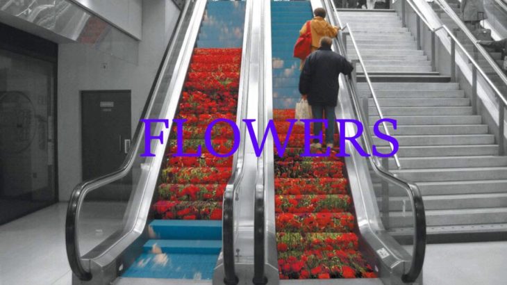 [FREE FOR PROFIT USE] R&B Type Beat – “FLOWERS” (prod. by flagman)
