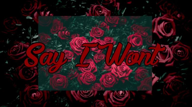 Say I Wont – R&B/Rap Type Beat (Prod. by Vince Paper$ x KudzBeats)