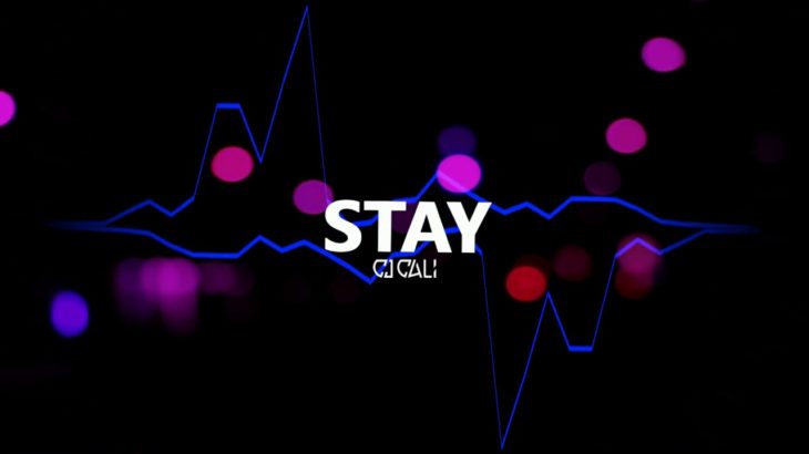 “Stay” | R&B Type Beat 2018 (Produced by CJ Cali)