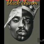 BLACK CHARM 977  (R&B)  (Paulinhoo)