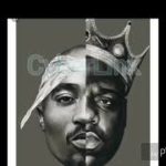 BLACK CHARM 978 (R&B)