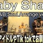 【サメのかぞく】Baby shark （Latin , R&B soul Band Arrange）아기 상어【韓国・英・日本語歌詞有り】