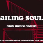 [FREE] Wavy R&B Instrumental – “Sailing Souls” |Smooth R&B Instrumental| prod. Nicole Dreams