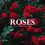 FREEBEAT – “ROSES” Free Hiphop/R&B Instrumental | Freebeat Calendar 2018 20/24