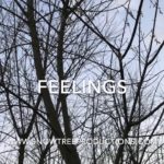 “Feelings” ~ SnowTree Productions ~ Pop Beat ~ Free Download ~ Hip Hop & R&B Type