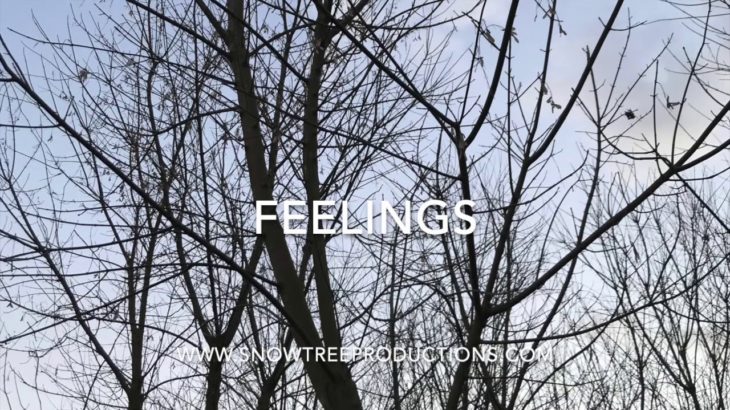 “Feelings” ~ SnowTree Productions ~ Pop Beat ~ Free Download ~ Hip Hop & R&B Type