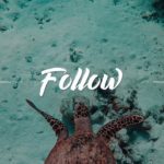 “Follow” – Base de Rap | R&B Instrumental Beat (Prod. By La Palmera)